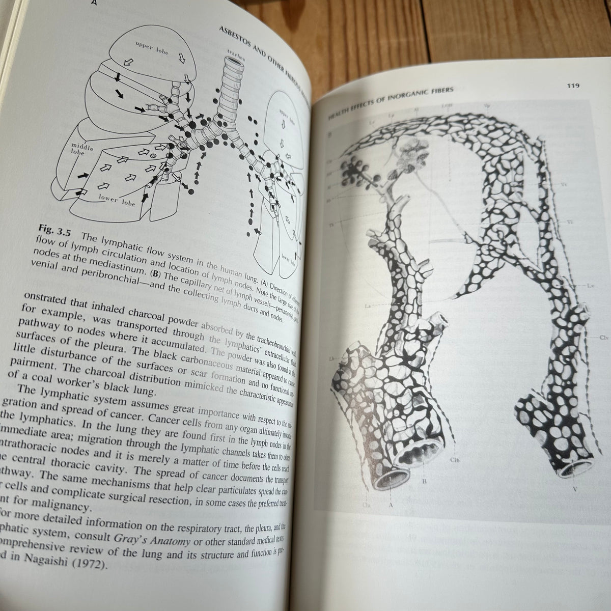 N2007 Vintage 1988 BOOK ASBESTOS and OTHER FIBROUS MATERIALS, Mineralogy, Crystal Chemistry and HEALTH EFFECTS by H.C.W.Skinner, M.Ross, C.Frondel