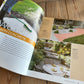 XB1-133 2004 MASONRY & CONCRETE BOOK by Better Homes & Garden