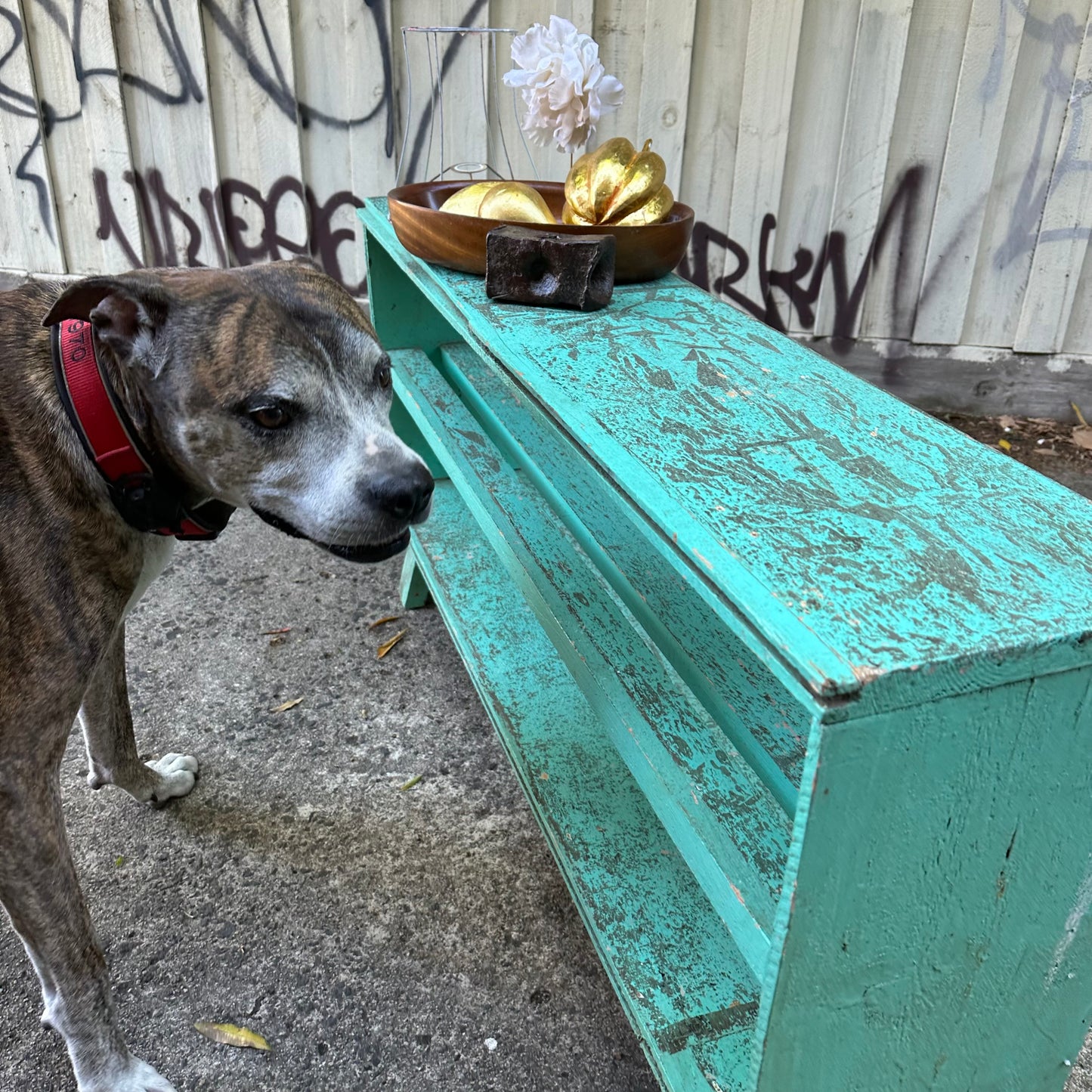 H2383 Vintage distressed shabby chic depression era GREEN Pine SHELVES