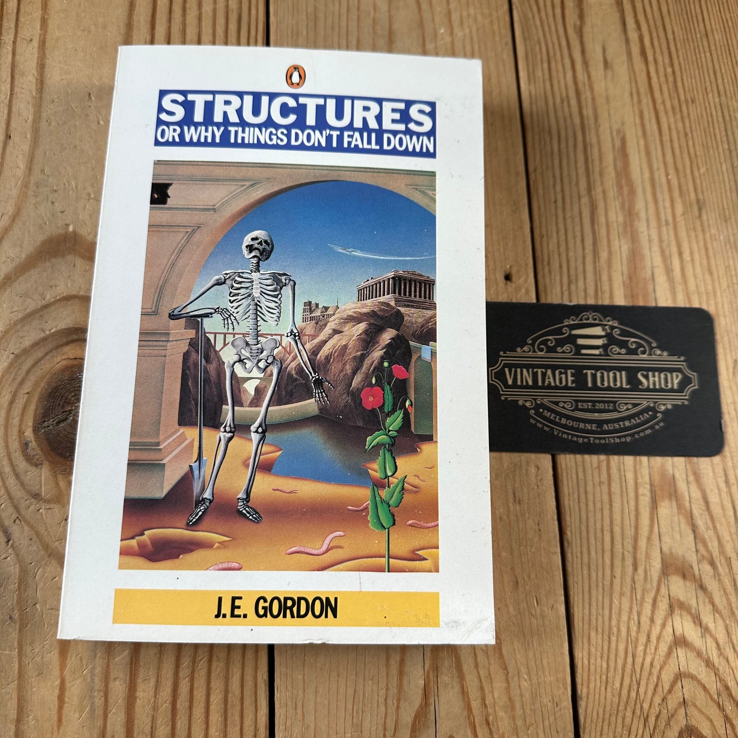 XBN1 Vintage BOOK STRUCTURES or WHY DONT THINGS FALL DOWN by J.E.Gordon