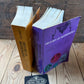 N1996 FASCINATING! Vintage BOOK HISTORY of MATHEMATICS by D.E.Smith in two volumes