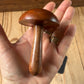 TS34-TS43 Australian made NEW! Tasmanian BLACKWOOD DARNING MUSHROOM mending tool