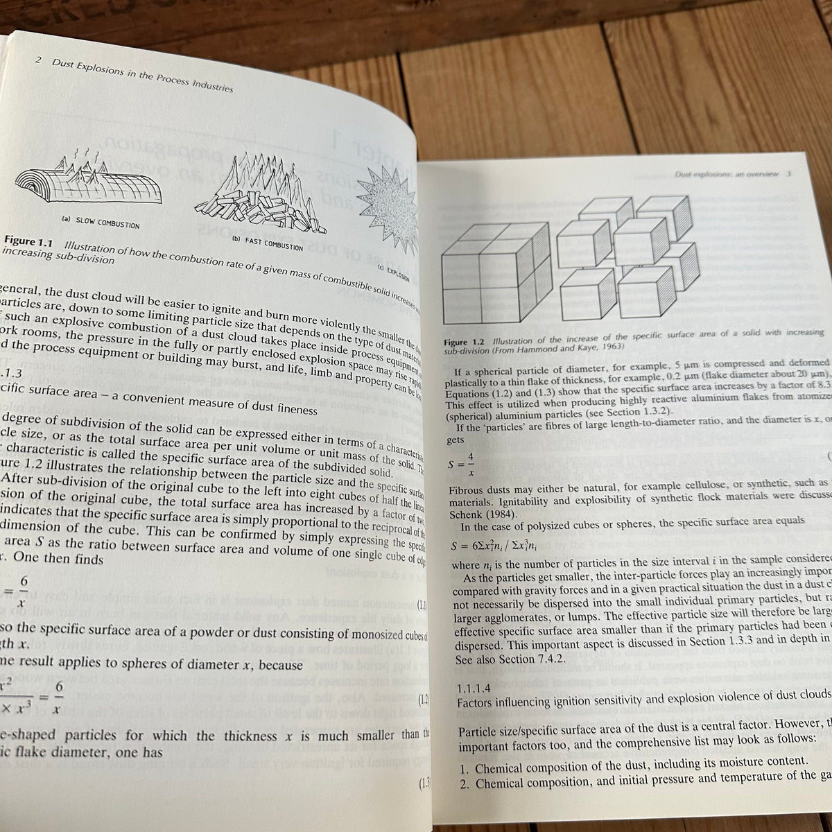 N2045 FASCINATING READING! Vintage BOOK DUST EXPLOSIONS in the PROCESS INDUSTRY 2nd edition by R.K.Eckhoff