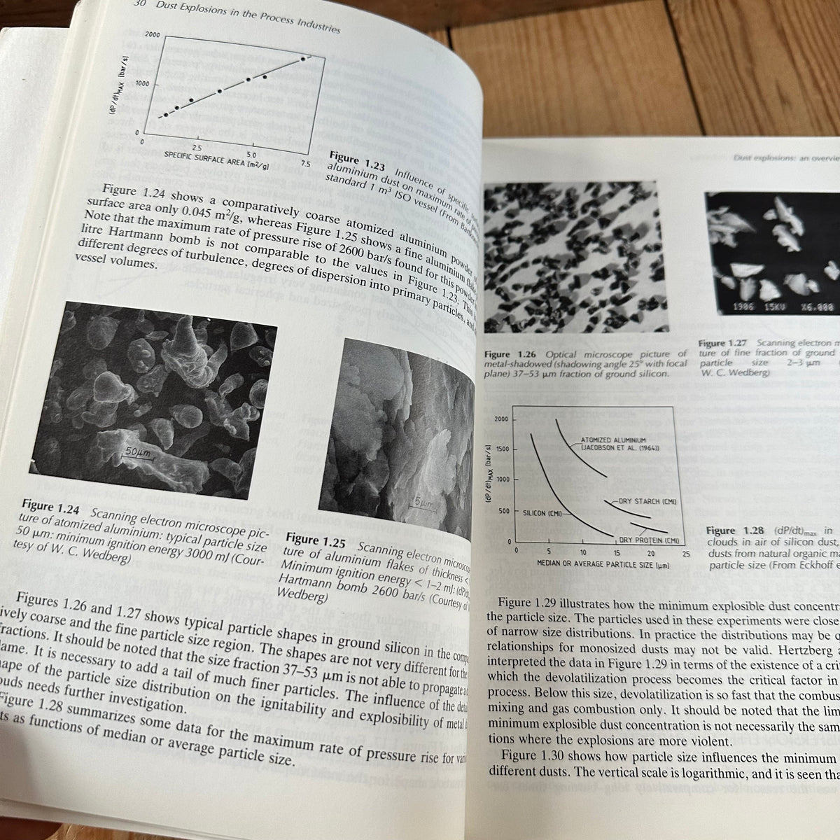 N2045 FASCINATING READING! Vintage BOOK DUST EXPLOSIONS in the PROCESS INDUSTRY 2nd edition by R.K.Eckhoff