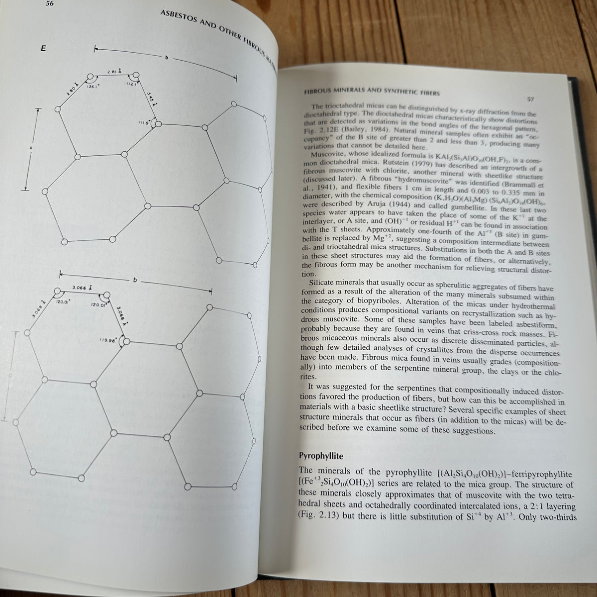 N2007 Vintage 1988 BOOK ASBESTOS and OTHER FIBROUS MATERIALS, Mineralogy, Crystal Chemistry and HEALTH EFFECTS by H.C.W.Skinner, M.Ross, C.Frondel