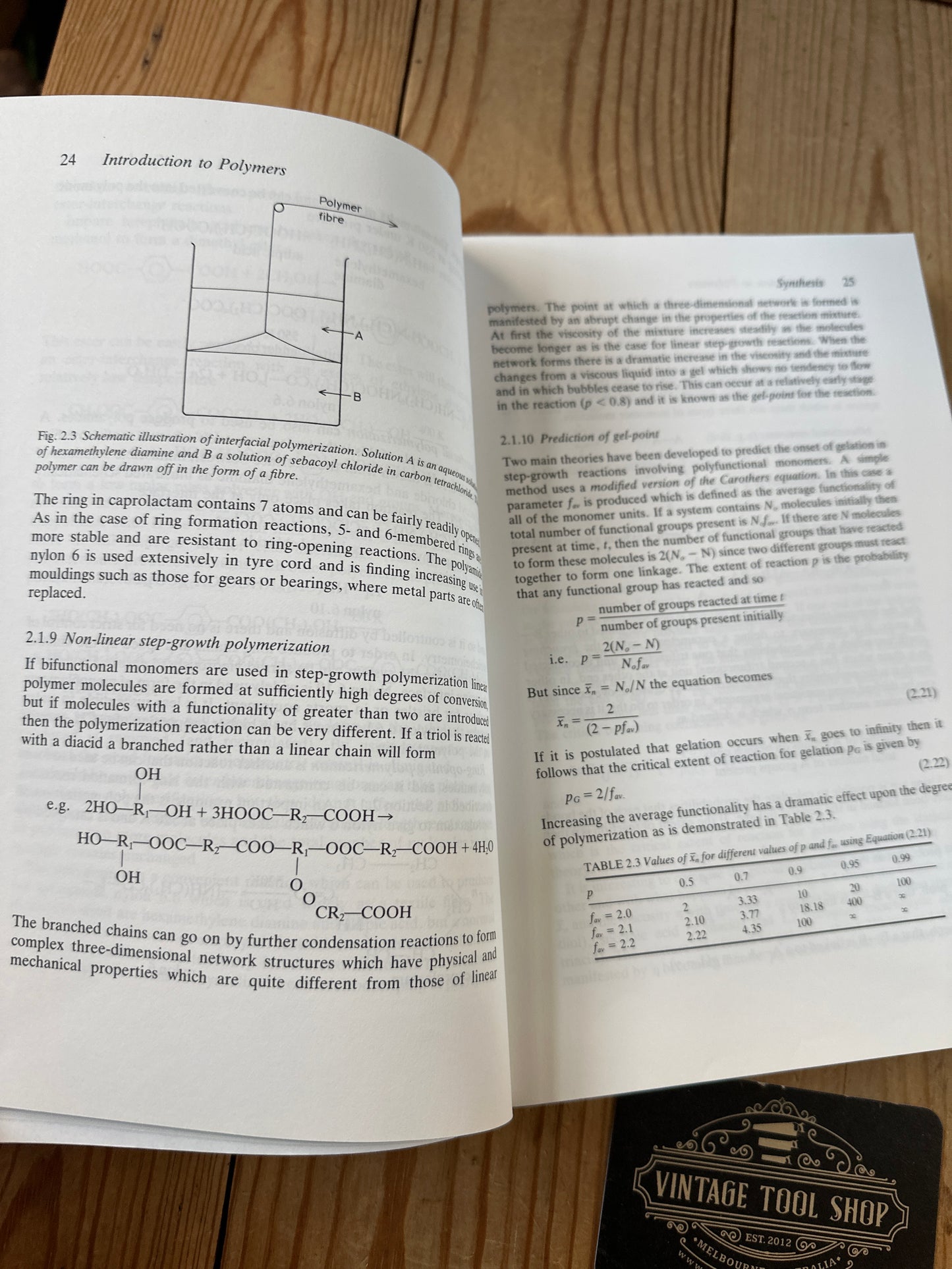 XBN95 Vintage BOOK INTRODUCTION to POLYMERS by R.J.Young