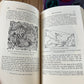 N1996 FASCINATING! Vintage BOOK HISTORY of MATHEMATICS by D.E.Smith in two volumes