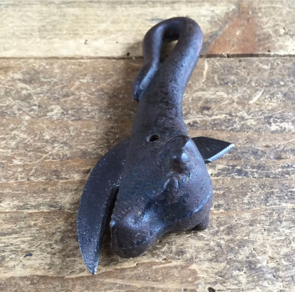 SOLD Antique Early BULLS HEAD Tin Can OPENER T1798